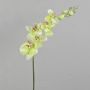 Dekozweig Phalaenopsis Orchidee AMARNE, creme-grün, 85cm, Ø7-11cm