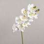 Kunstzweig Cymbidium Orchidee LANAKILA, weiß, 70cm, Ø9cm