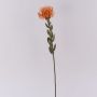 Dekoblume Nadelkissen Protea URMINE, Trockenoptik, orange, 60cm, Ø9cm