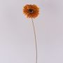 Dekoblume Gerbera TUNGUSKA, Trockenoptik, orange, 55cm, Ø11cm