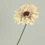 Dekoblume Gerbera TUNGUSKA, Trockenoptik, creme-beige, 55cm, Ø11cm
