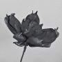 Deko Kunststoffschaum Magnolienblüte AMILIE mit Glitzer, schwarz, 30cm, Ø26cm