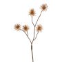 Kunst Zweig Zaubernuss NUMBAT mit Blüten, orange, 70cm, Ø6cm