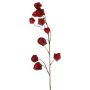 Kunst Physalis Zweig AINOS, Früchte, Glitzer, burgunderrot, 80cm