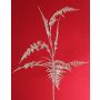 Kunst Asparagus plumosus Zweig GIONA, silber, 85cm
