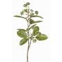 Künstlicher Hartriegel Zweig PANGO mit Knospen, grün-weiß, 70cm, Ø7cm
