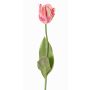 Textilblume Papageientulpe UAKARI, rosa-creme-grün, 65cm, Ø6cm