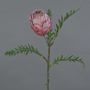 Künstliche Protea BREGANSA, altpink, 65cm, Ø7cm