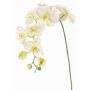 Künstlicher Blumenzweig Phalaenopsis Orchidee WESA, weiß-grün, 90cm, Ø11-12,5cm