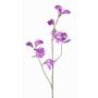 Dekoblume Lathyrus ASFALOTH, lila, 65cm, Ø3-5cm