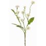 Deko Wiesen-Flockenblume HOLLA, weiß, 55cm, Ø3-4cm