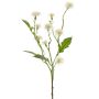 Deko Wiesen-Flockenblume HOLLA, weiß, 55cm, Ø3-4cm