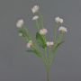 Deko Wiesen-Flockenblume HOLLA, zartrosa, 55cm, Ø3-4cm