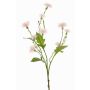 Deko Wiesen-Flockenblume HOLLA, zartrosa, 55cm, Ø3-4cm