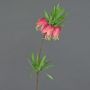 Dekoblume Kaiserkrone IMST, pink, 65cm, Ø11cm