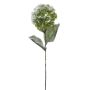 Künstliche Blume Hortensie TILANNA, beschneit, grün, 70cm