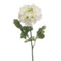 Unechte Ranunkel ULISAN, creme-grün, 60cm, Ø14cm