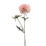 Unechter Zweig Scabiosa BASOLO, rosa-creme, 55cm