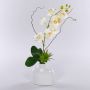Kunstblume Phalaenopsis Orchidee TIALDA, Sukkulenten, Keramikvase, weiß, 50cm