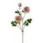 Künstlicher Zweig Pfingstrose KROVEL, grün-rosa, 75cm
