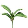 Dekoblätter Phalaenopsis Orchidee CRILMER, Steckstab, Luftwurzeln, 30cm