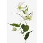 Künstliche Blume Gloriosa FUJITA, creme-grün, 80cm, Ø15cm