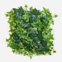 Dekopflanze Efeu Hecke / Matte LUKA, grün-weiß, 30x30cm