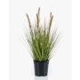 Kunstpflanze Gras Federborstengras YWAIN mit Rispen, beige-grün, 45cm