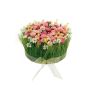 Kunstblumengesteck Margeriten, Gras HAULANI, rosa-weiß, 12cm, Ø20cm