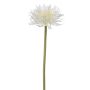 Künstliche Blume Gerbera YORUMA, creme, 50cm