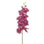 Künstliche Blume Phalaenopsis Orchidee RIESSA, cerise, 95cm