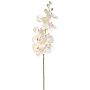 Künstliche Blume Phalaenopsis Orchidee POLDINA, hellgrün-rosa, 90cm