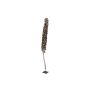 Babassupalmen Frucht / Cacho Coco MAKENA, braun, 120-190cm