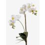 Künstliche Phalaenopsis Orchidee CANDIDA zum Stecken, weiß, 65cm