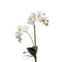 Künstliche Phalaenopsis Orchidee CANDIDA zum Stecken, weiß, 65cm