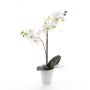 Künstliche Phalaenopsis Orchidee CANDIDA im Keramiktopf, weiß, 65cm