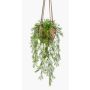 Asparagus sprengeri Blumenampel künstlich SILIJA, Terracotta Topf, 75cm