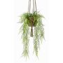 Asparagus plumosus Blumenampel künstlich SILIJA, Terracotta Topf, 80cm