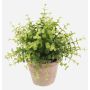 Kräuter künstlich Eukalyptus LUCANO im Terracotta Topf, grün, 20cm, Ø20cm