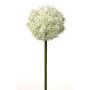 Kunst Allium SAMARA, weiß-grün, 75cm, Ø12cm