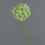 Kunst Allium SAMARA, weiß-grün, 75cm, Ø12cm