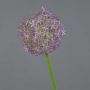 Kunst Allium SAMARA, lila, 75cm, Ø12cm