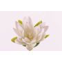 Kunstblume Seerose SCILLA, treibend, creme, 4cm, Ø16cm