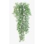 Plastik Asparagus sprengeri Hänger CAMILLA, Stecker, 70cm