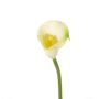 Textilblume Calla CHIDORA, creme, 55cm, 4,5x5,5cm