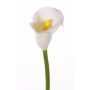 Textilblume Calla CHIDORA, weiß, 55cm, 4,5x5,5cm
