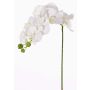 Künstlicher Phalaenopsis Orchideen Zweig GALINA, weiß, 60cm, Ø6-8cm