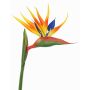 Kunst Papageienblume LATIFA, orange-violett, 90cm, 17x20cm