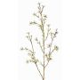 Kunst Wachsblume NIANG, creme, 80cm, Ø1,5-2,5cm
