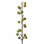 Deko Apfelbaum Zweig BORIAN mit Früchten, grün, 95cm